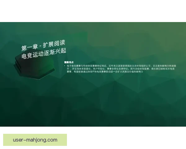 2026世界杯球迷行为与热情全面解析白皮书