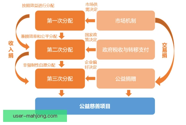 雅各布斯公益参与方式，项目选择与传播路径分析